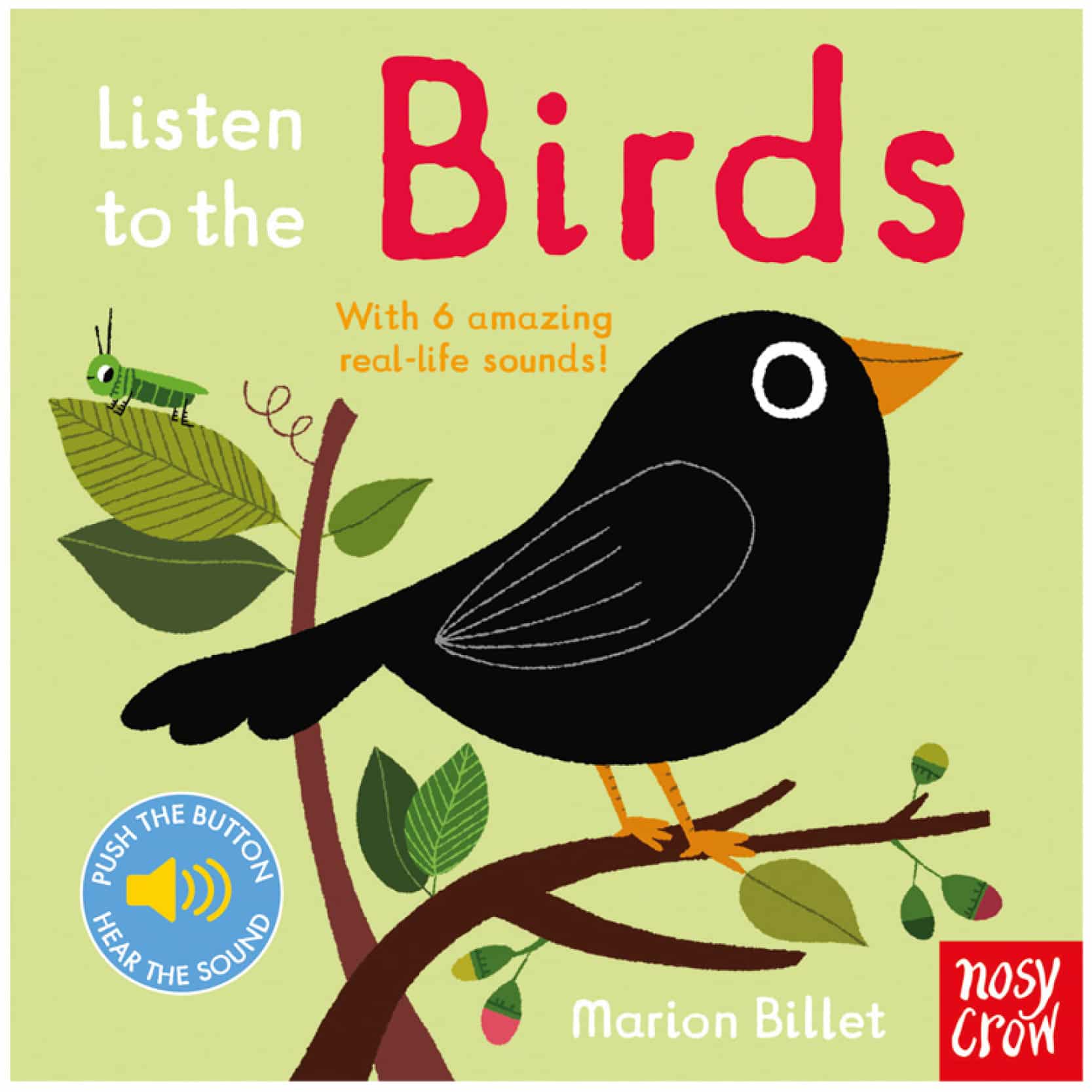 Listen Bird Listen to the Birds Book - Island Blue Tobermory