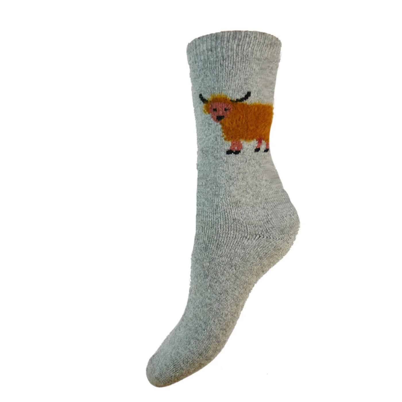 WS579